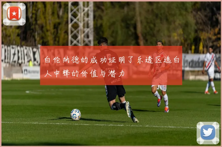 白伦纳德的成功证明了乐透区选白人中锋的价值与潜力