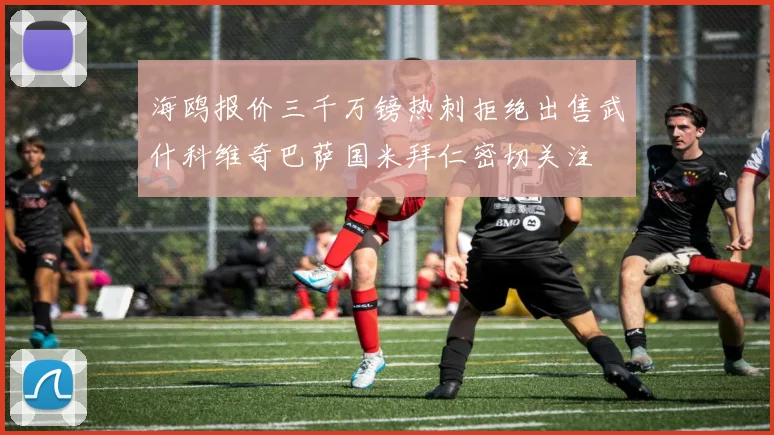 海鸥报价三千万镑热刺拒绝出售武什科维奇巴萨国米拜仁密切关注
