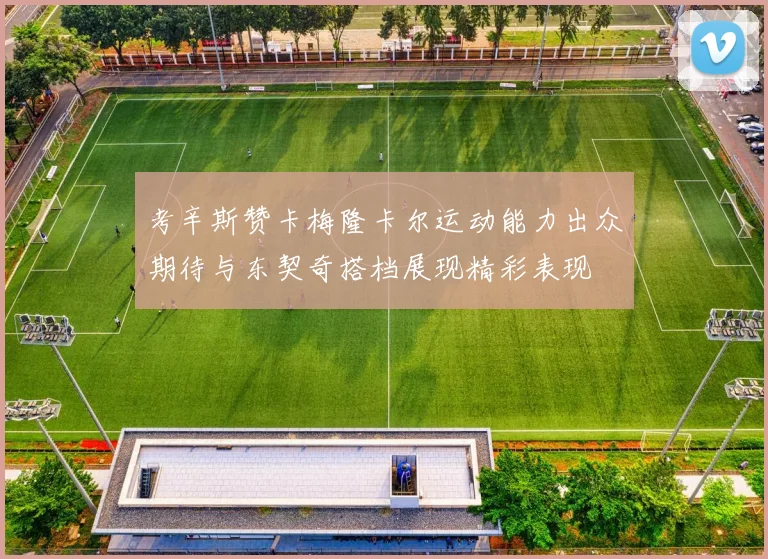考辛斯赞卡梅隆卡尔运动能力出众期待与东契奇搭档展现精彩表现