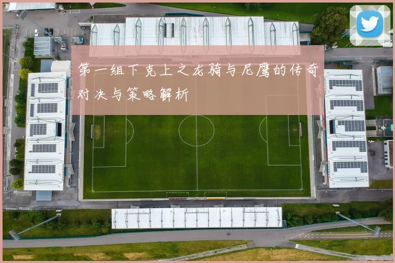 第一组下克上之龙骑与尼鹰的传奇对决与策略解析